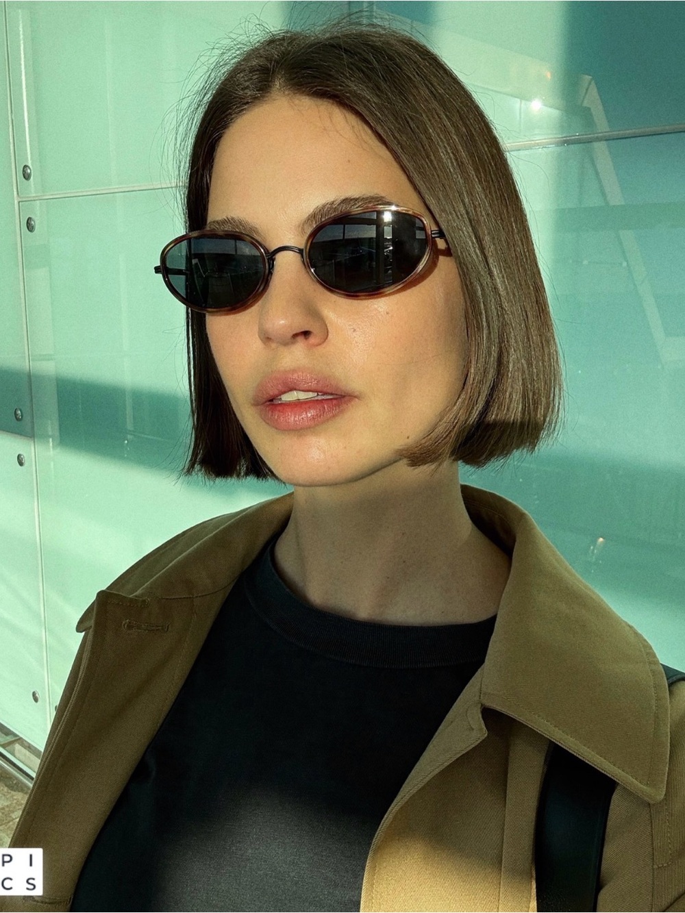 VEHLA Reign Tort Smoke Oval Sunglasses NWOT Blogger Favorite